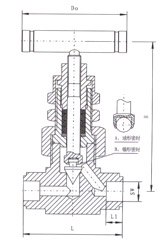 SS-6NBSW8T美标焊接针型阀结构示意图